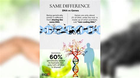 plants that are genetically similar to humans